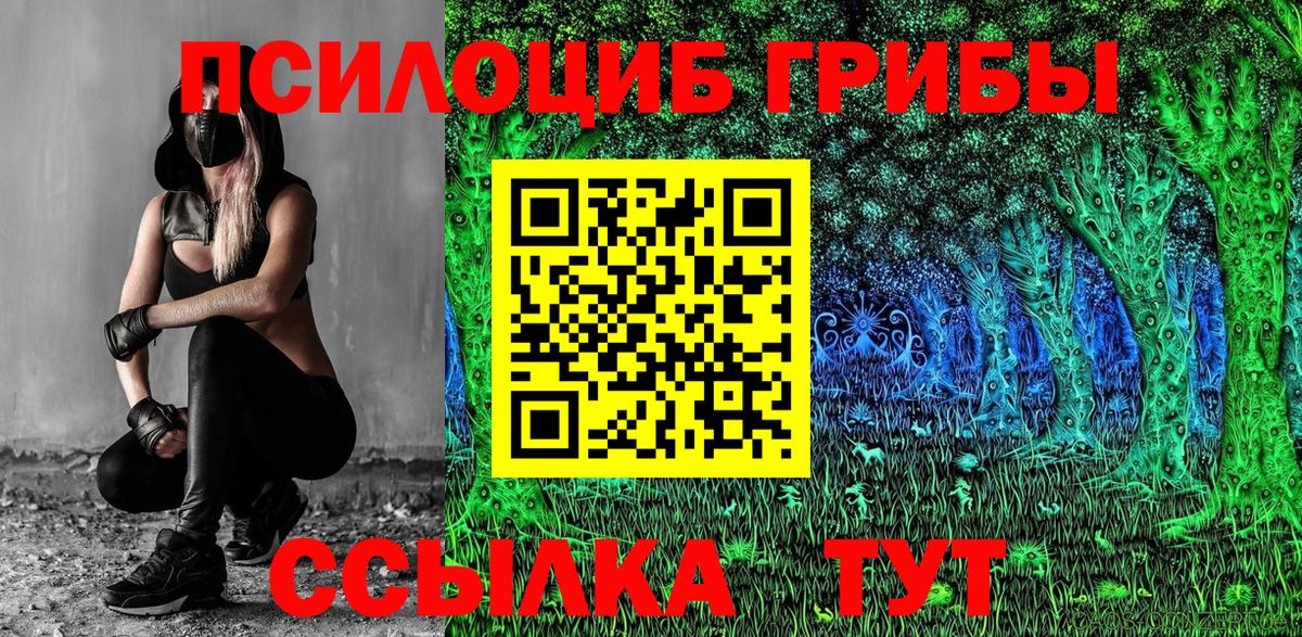 Псилоцибиновые грибы Magic Shrooms  продажа наркотиков  Урюпинск  Вход с VPN 